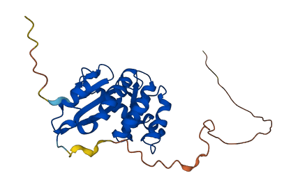 IFI30 3D structure