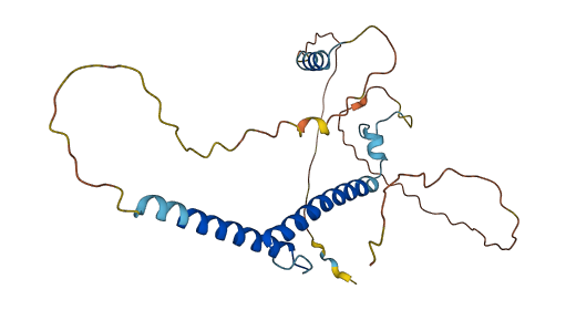 MYF5 3D structure