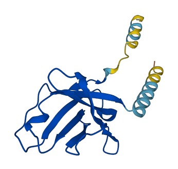 Vpreb2 3D structure