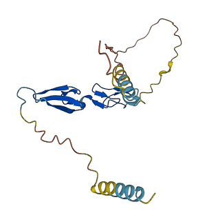 TDGF1 3D structure