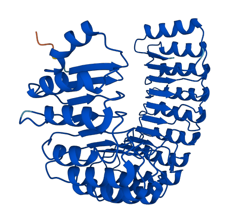 RNH1 3D structure