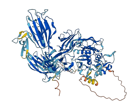 BMP1 3D structure