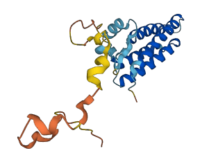 CYBA 3D structure