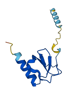 CCL2 3D structure