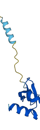 CCL5 3D structure