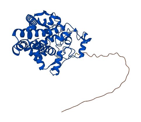 Scd1 3D structure