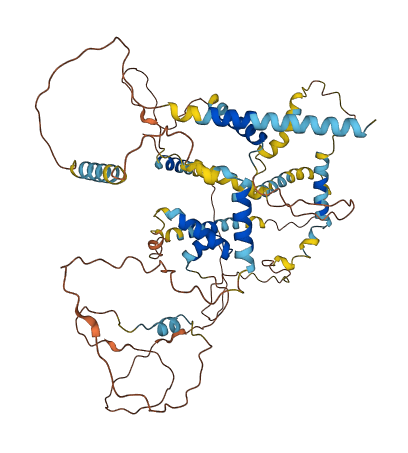 SCG2 3D structure
