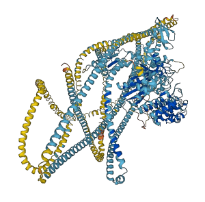 MYH8 3D structure