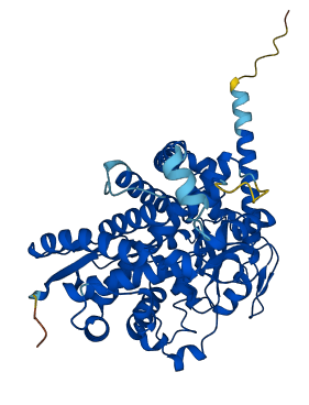 CYP4B1 3D structure