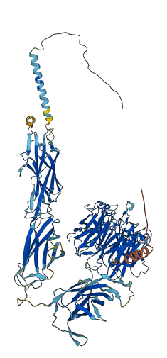 ITGA4 3D structure