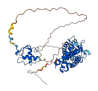 RARG 3D structure