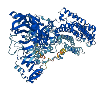 ATP1A3 3D structure