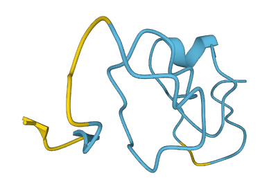 MT1G 3D structure