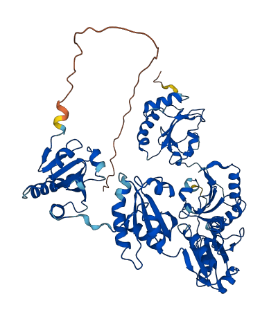 PDIA4 3D structure