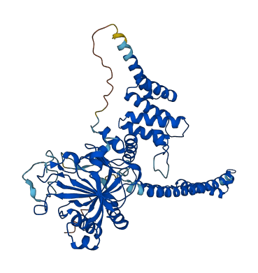 P4HA1 3D structure