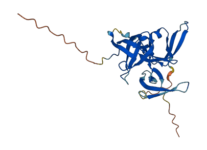 Ssty1 3D structure