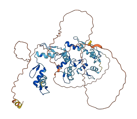 ZNF35 3D structure