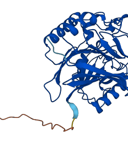 ACP5 3D structure