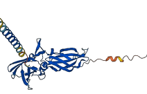 F3 3D structure