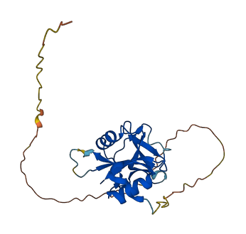 PRG2 3D structure