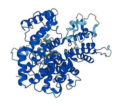 LCP1 3D structure