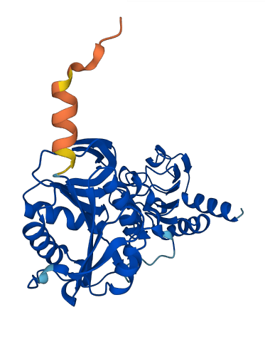 ETFA 3D structure
