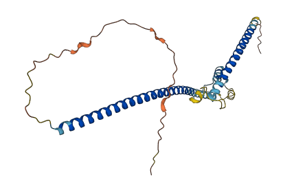 TNNT1 3D structure