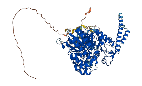 GYS1 3D structure