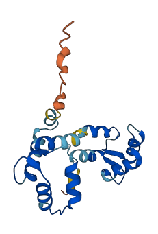 Rlc-a 3D structure