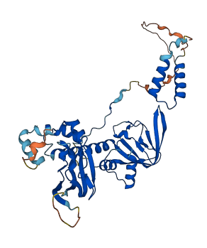 PRKAR2A 3D structure