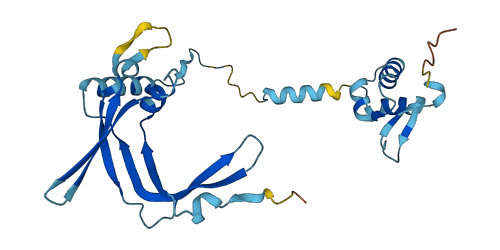 GTF2F2 3D structure