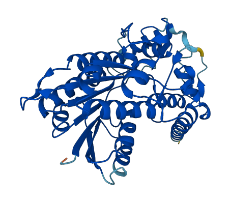 HSD3B1 3D structure