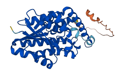 HSD17B1 3D structure
