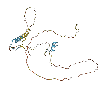 EDN3 3D structure