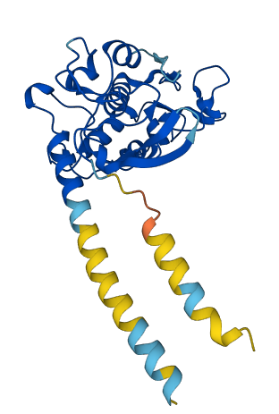 FOLR2 3D structure