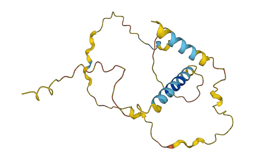 CD99 3D structure