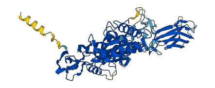 PRF1 3D structure