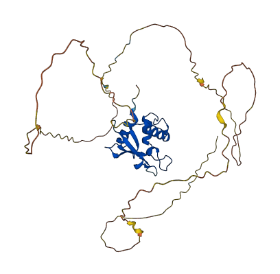 IRF2 3D structure