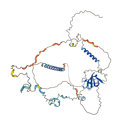 HCLS1 3D structure