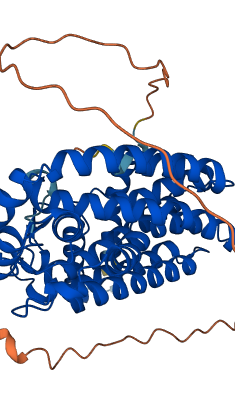 FDPS 3D structure