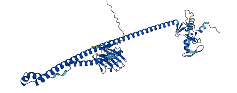 TRIM27 3D structure