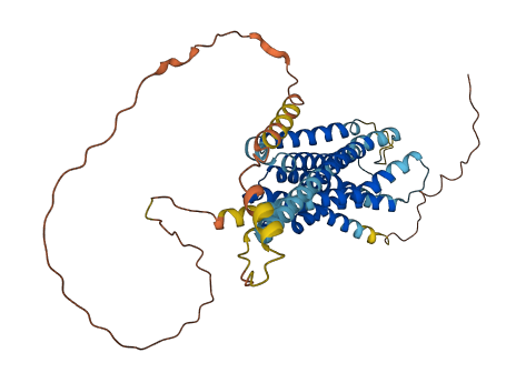 DRD2 3D structure