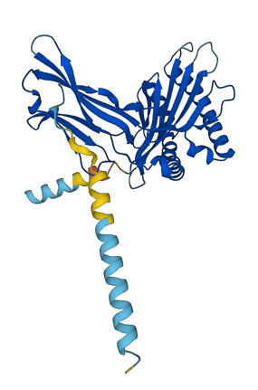 H2-Q7 3D structure