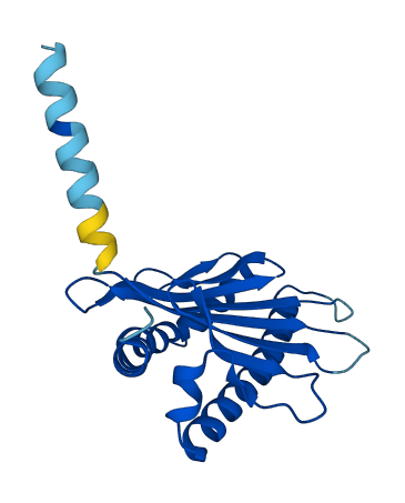 H2-Q9 3D structure