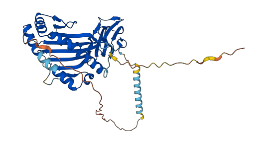 H2-T3 3D structure