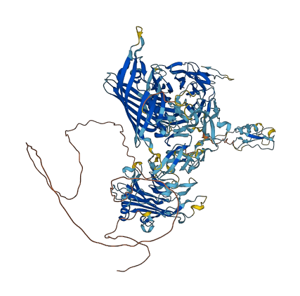 NID1 3D structure