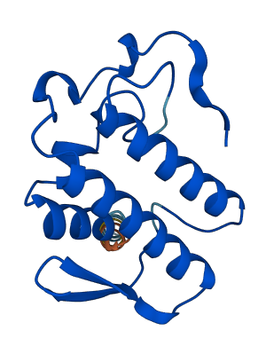 PLA2G2A 3D structure