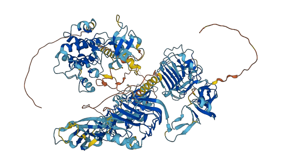 INSRR 3D structure
