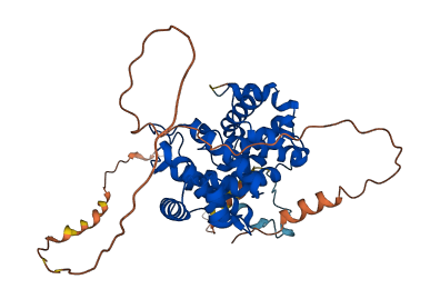 CCNB1 3D structure