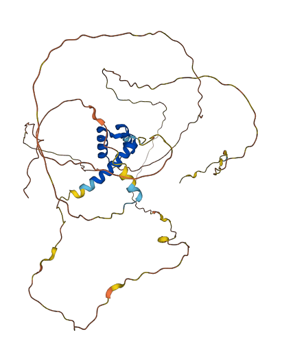 HOXB3 3D structure